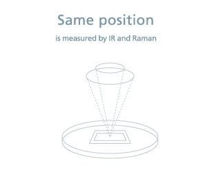 Both FTIR and Raman Spectra Can Be Measured without Moving Samples